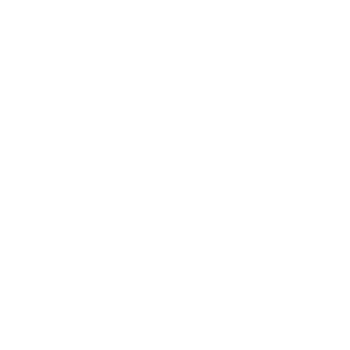 Julie Grohens Photographe d'émotions